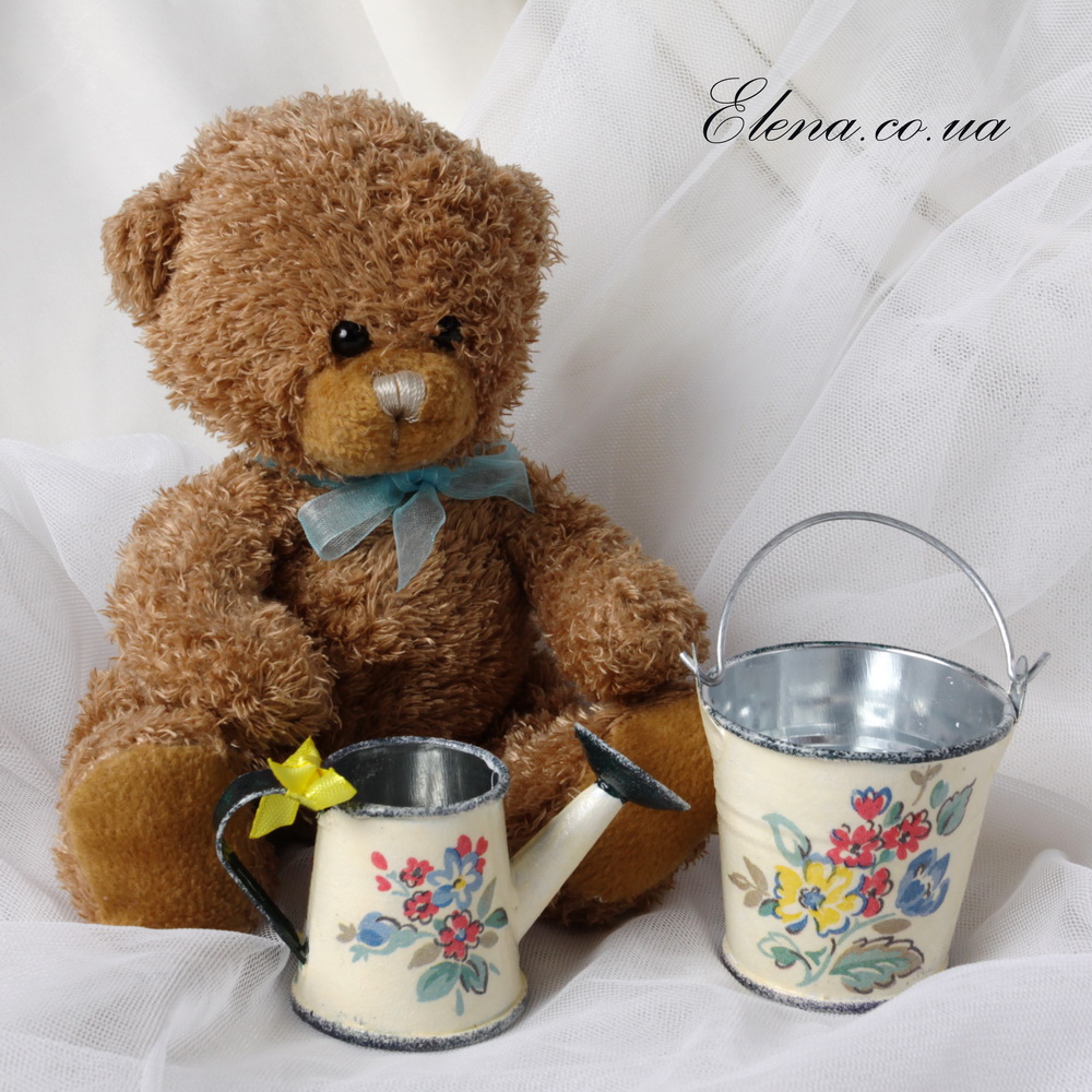 Лейка и ведро